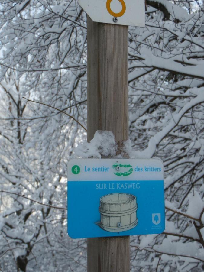 Gite Du Silberwald Charmant Gite Avec Spa - Jacuzzi , Acces Privatif Stosswihr Eksteriør billede